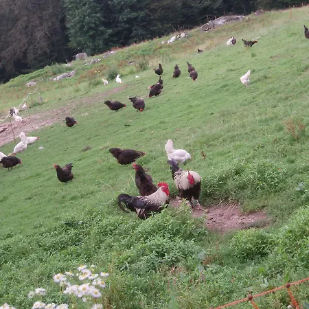 Ferme Du Barba D'hôtes&gîte Liézey