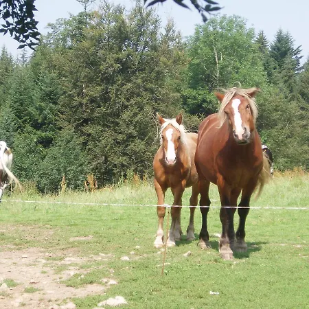 Nyaraló Ferme Du Barba D'hotes &
