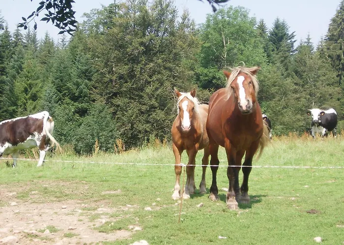 Дом отдыха Ferme Du Barba D'hotes &